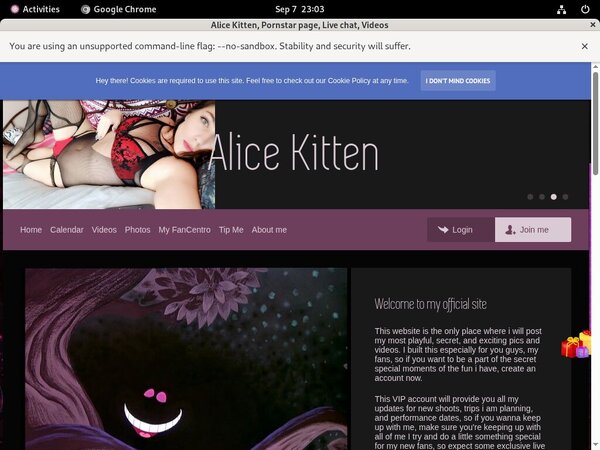 Alice Kitten Epoch Discount Alice Kitten Epoch Discount