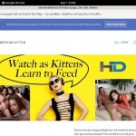 Americankittens Porn Reviews