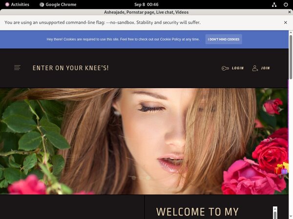 Ashea.modelcentro.com Limited Offer Ashea.modelcentro.com Limited Offer