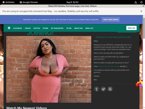 BlackDDMamba Hacked Password