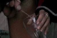 Boyspissing Sign Up Form s4