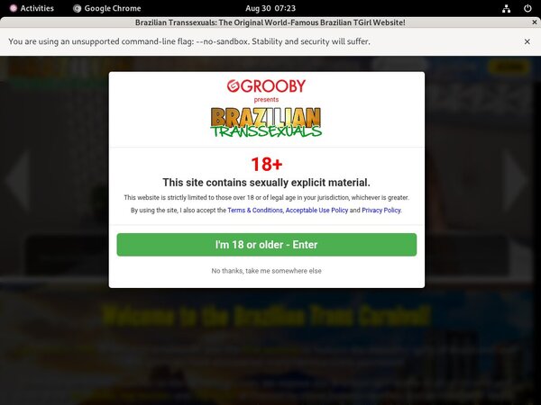 Brazilian Transsexuals Free Online Brazilian Transsexuals Free Online