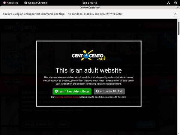 Cento X Cento Payment Form
