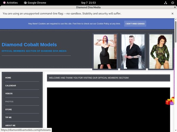DiamondDivaMedia Discount (SAVE 70%) DiamondDivaMedia Discount (SAVE 70%)