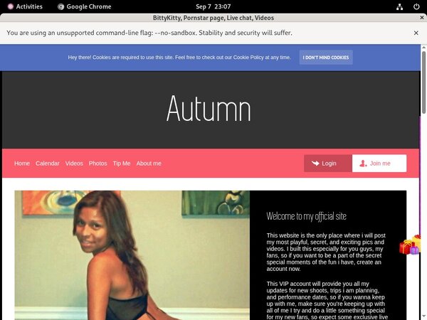 Download Bittykitty.modelcentro.com