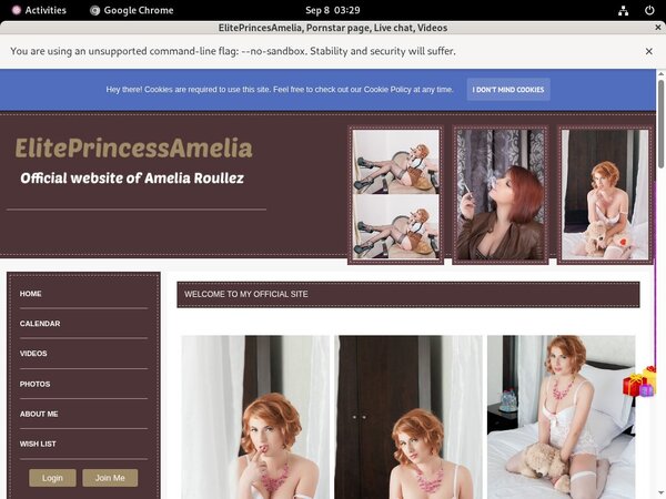 ElitePrincesAmelia Network Password