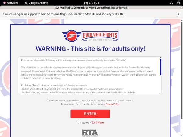 Evolvedfights Update