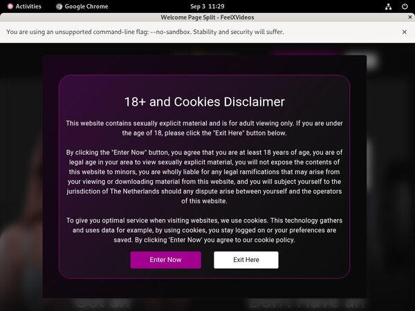 Feel X Videos Latest Passwords