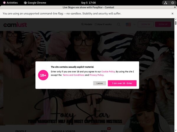 Foxy Star Compilation