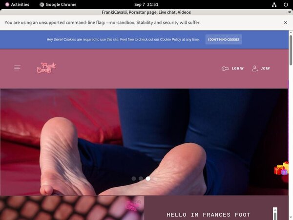 Frances.modelcentro.com Discount Join Page