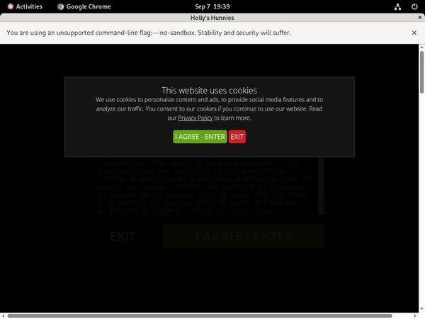 Free Hollyshunnies Id And Password
