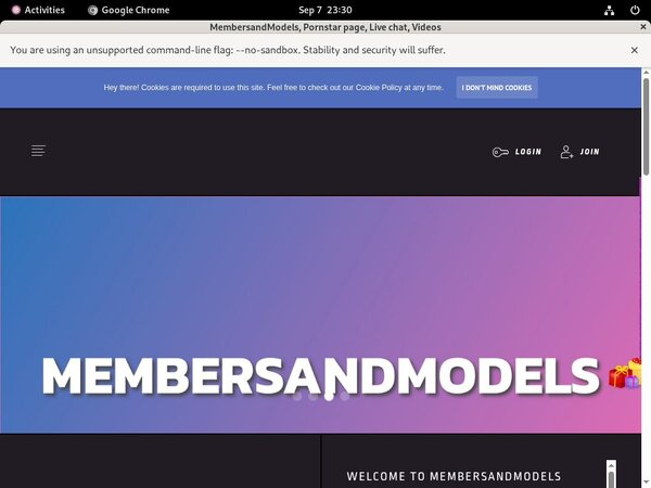Free MembersandModels Account Passwords