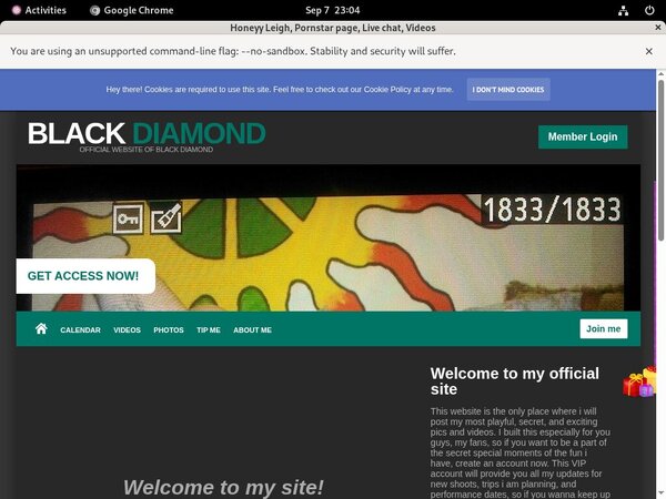 Fresh HoneyyLeigh Site Rip