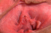 Gape My Pussy Probiller s0 Gape My Pussy Probiller s0