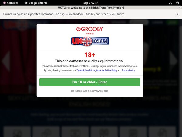 Get Free UK TGirls Membership