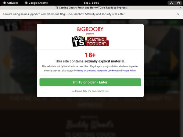 Get Inside TS Casting Couch Get Inside TS Casting Couch