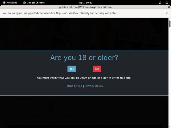 Girlsinsteel Logins 2018
