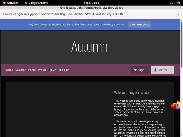 Goddesses & Dolls Bank Payment