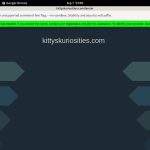 Kittyskuriosities.com Website Password