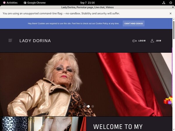 Lady Dorina Passcode