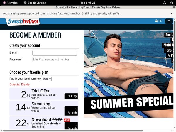 Login French-twinks.com Free