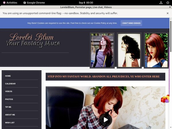 LoreleiBlum Password And Login LoreleiBlum Password And Login