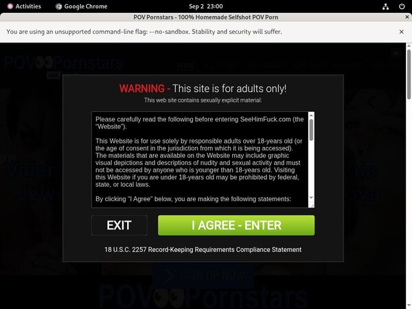 POV Pornstars Logins Free