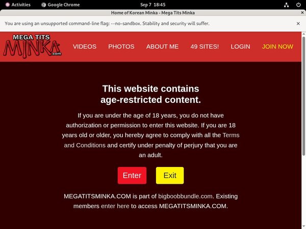 Premium Accounts Megatitsminka Premium Accounts Megatitsminka