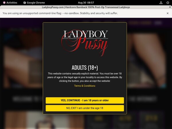 Pussy Ladyboy Free Membership