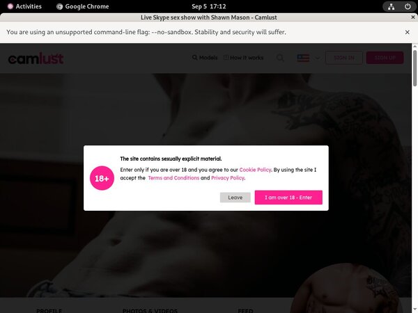 ShawnMason $1 Porn Trial