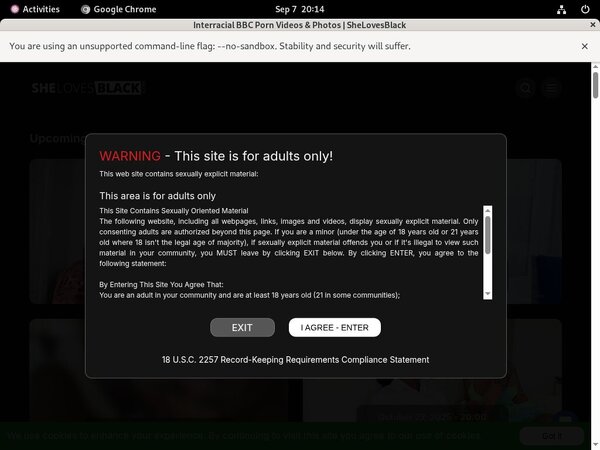 Shelovesblack.com Pass Premium Shelovesblack.com Pass Premium