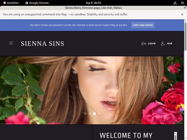 Siennasinns.modelcentro.com Vendo Page