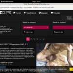 ToiletSlavesScatolo Premium Passwords