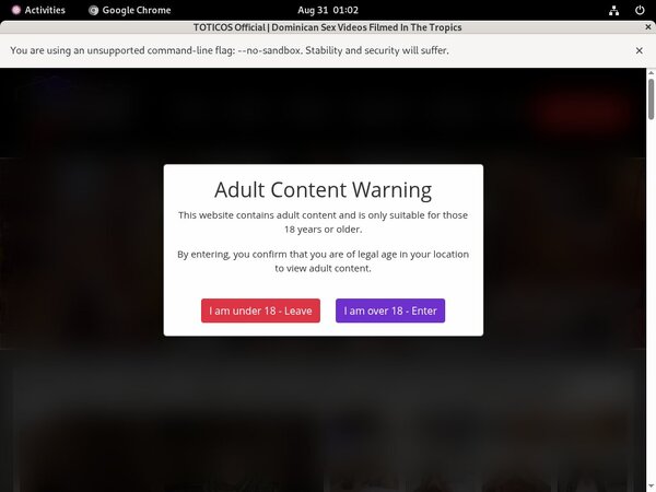 Totico's Porn Account