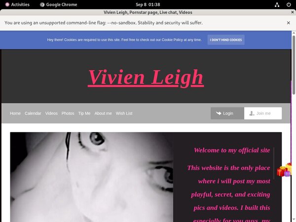 Vivien Leigh Discount Checkout