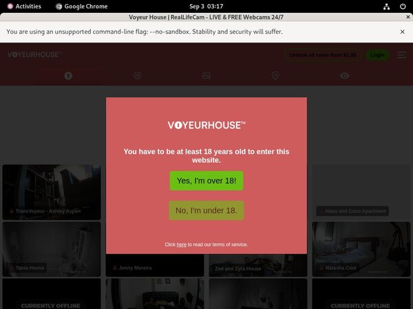 Free Video Voyeurhouse