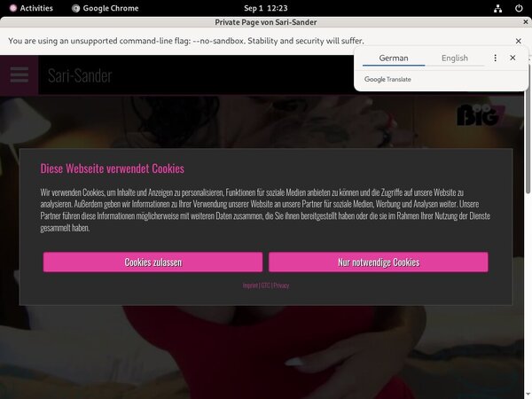 Passwords Sari Sander Passwords Sari Sander