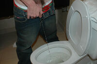 Boys-pissing.com Big Tits s3