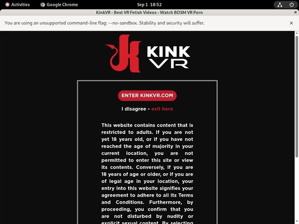 Kink VR Cost