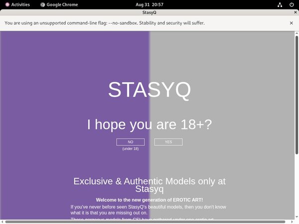 How To Get Stasyq Account